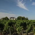The Importance of Vineyards in Winemaking