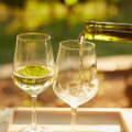Is Pinot Grigio Sweet or Dry? Unlocking the Flavor Profile at the Winery