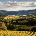 Exploring Napa's Wineries: A Guide to Planning Your Visit